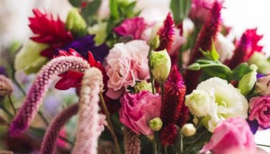 Melhorando a saúde com o auxílio da Terapia Floral
