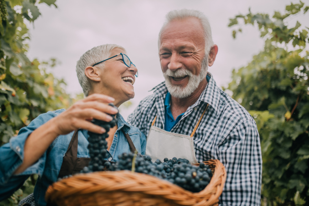 Uma mulher e um homem sorrindo enquanto seguram várias uvas