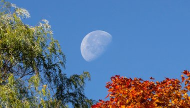 Lua Minguante em Câncer — 28 de setembro de 2021