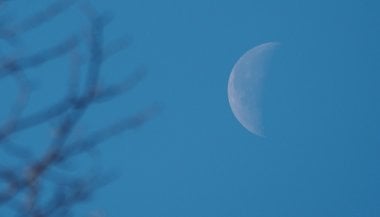 Lua Minguante em Escorpião — 2 de fevereiro de 2024