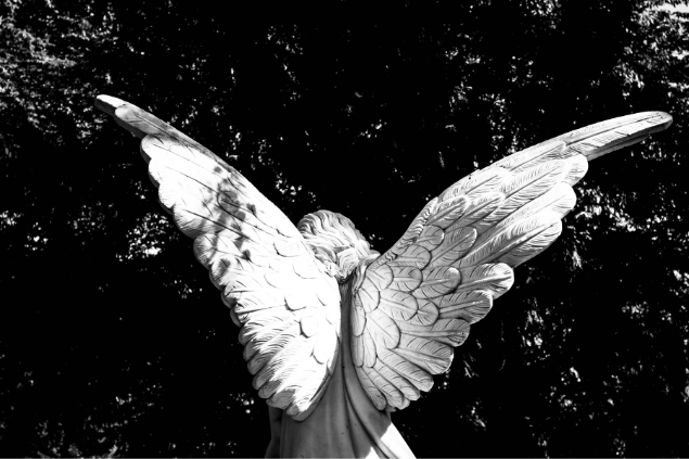 Estátua de um anjo de costas